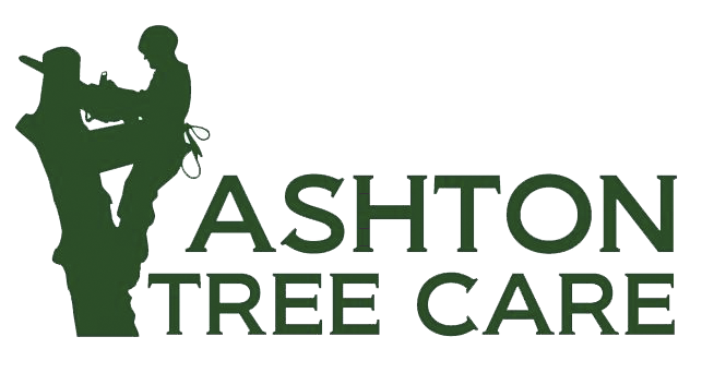 Ashton Tree Care